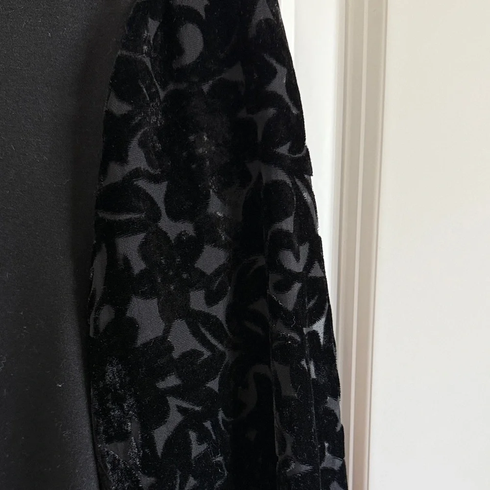 Altar'd State Puff-Sleeved Velvet Burnout Top Size Small - Picture 2 of 7